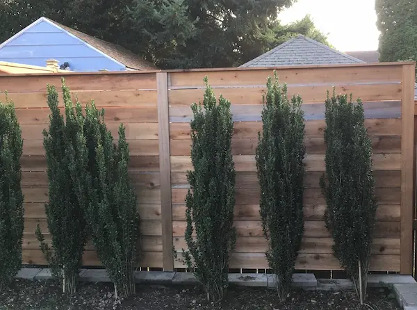 Fence survived Seattle windstorm