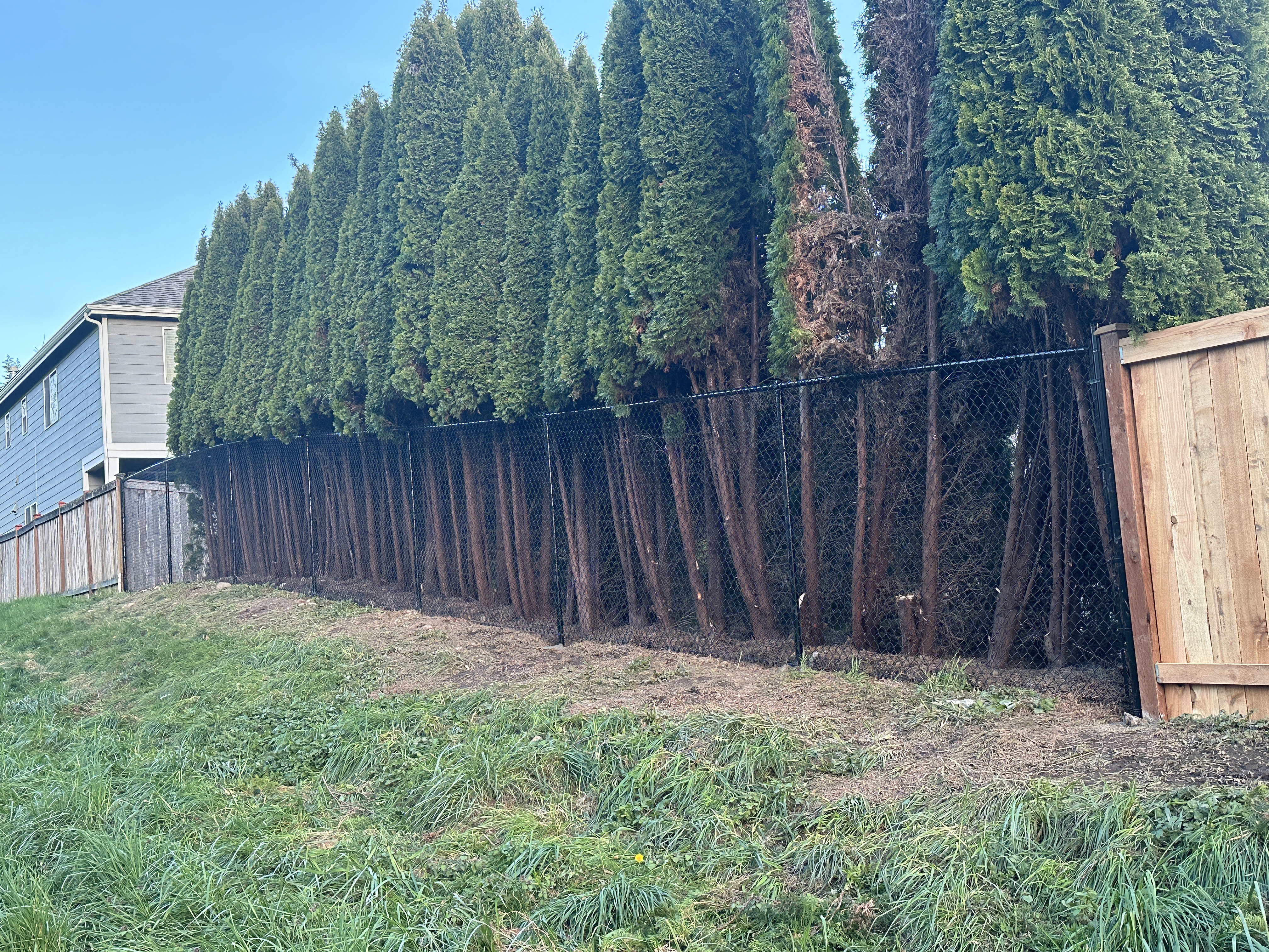 Seattle fence reinforced against strong winds