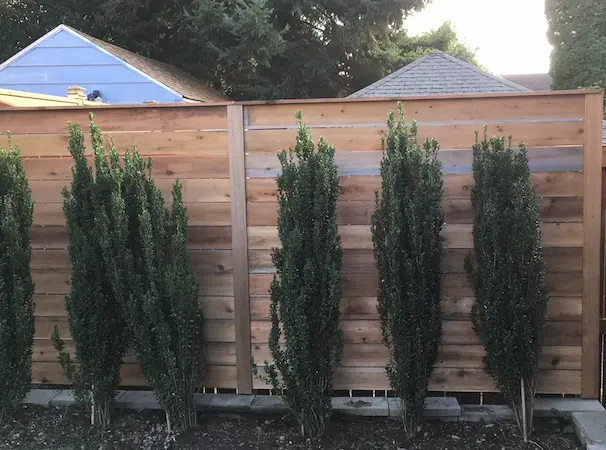 knocking-wood-fence