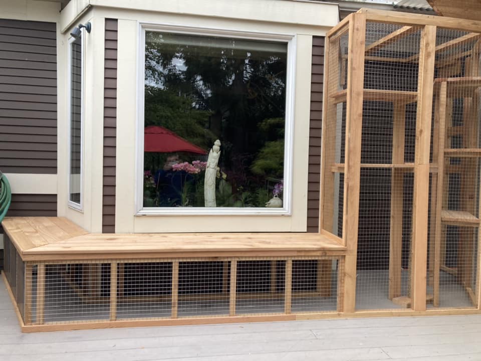 Catio in Bellevue