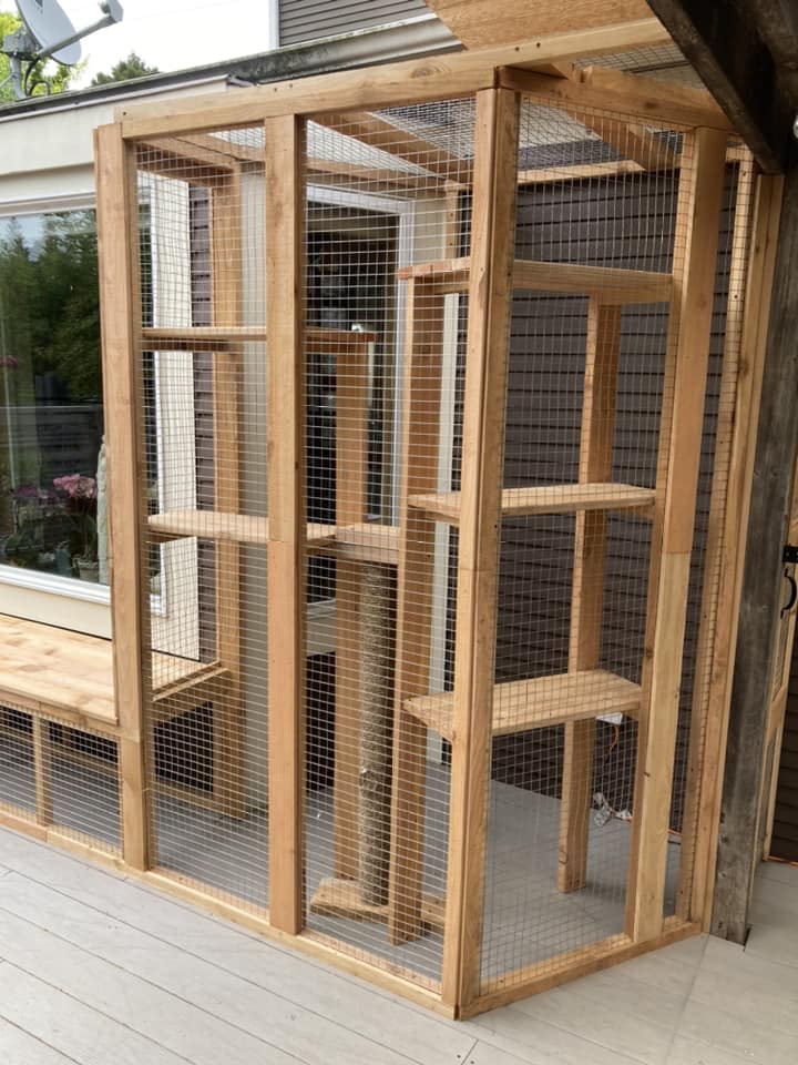 Catio in Bellevue