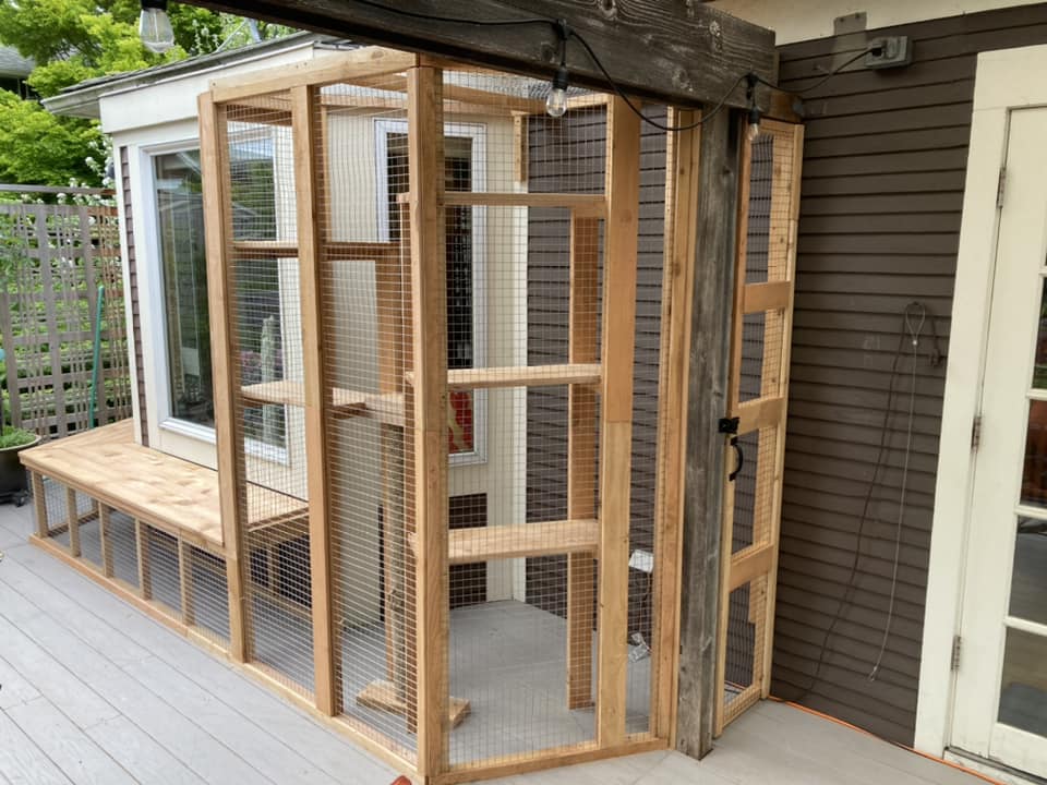 Catio in Bellevue