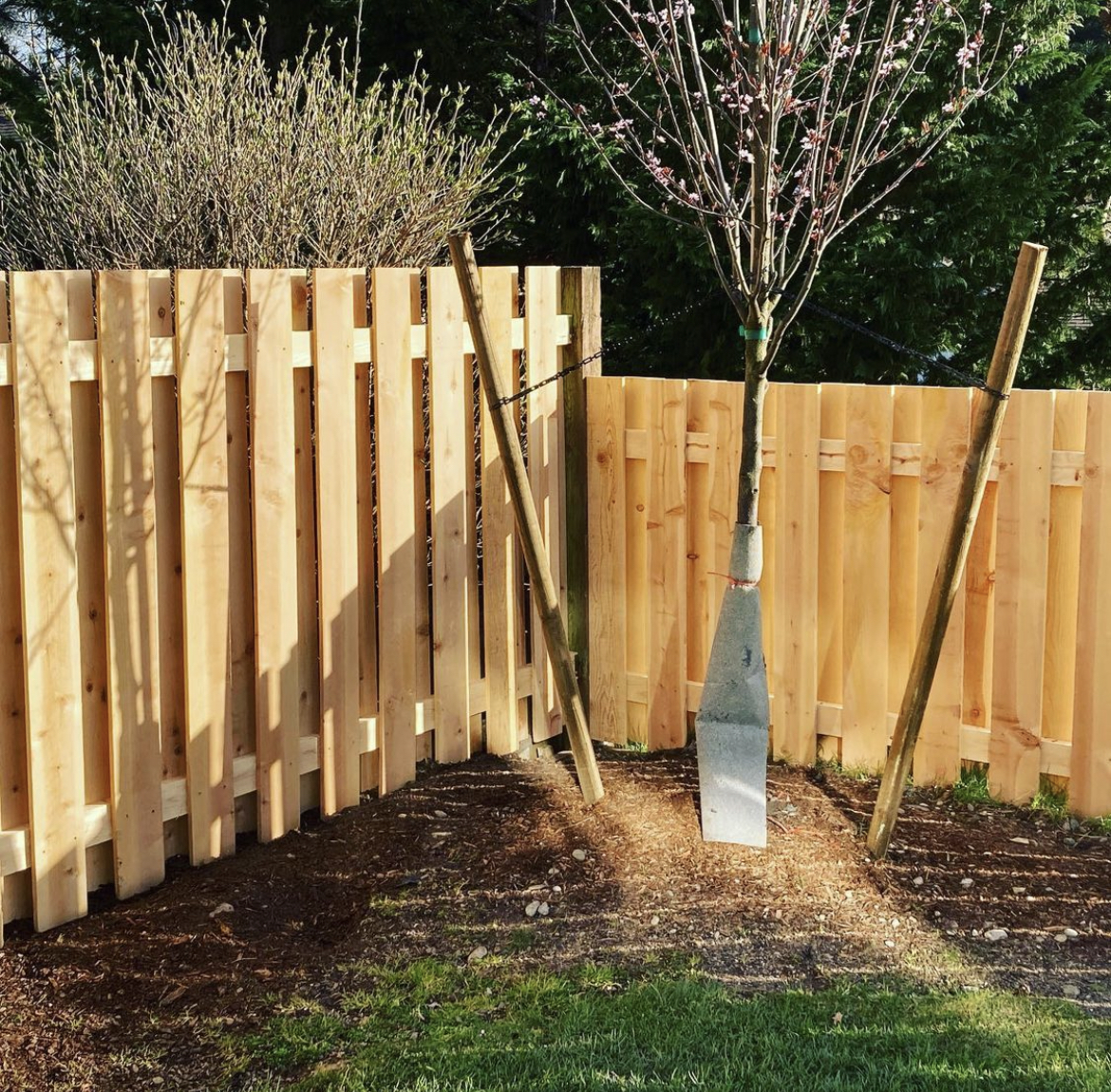 fence10