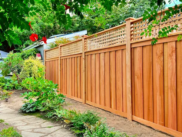knocking-wood-fence