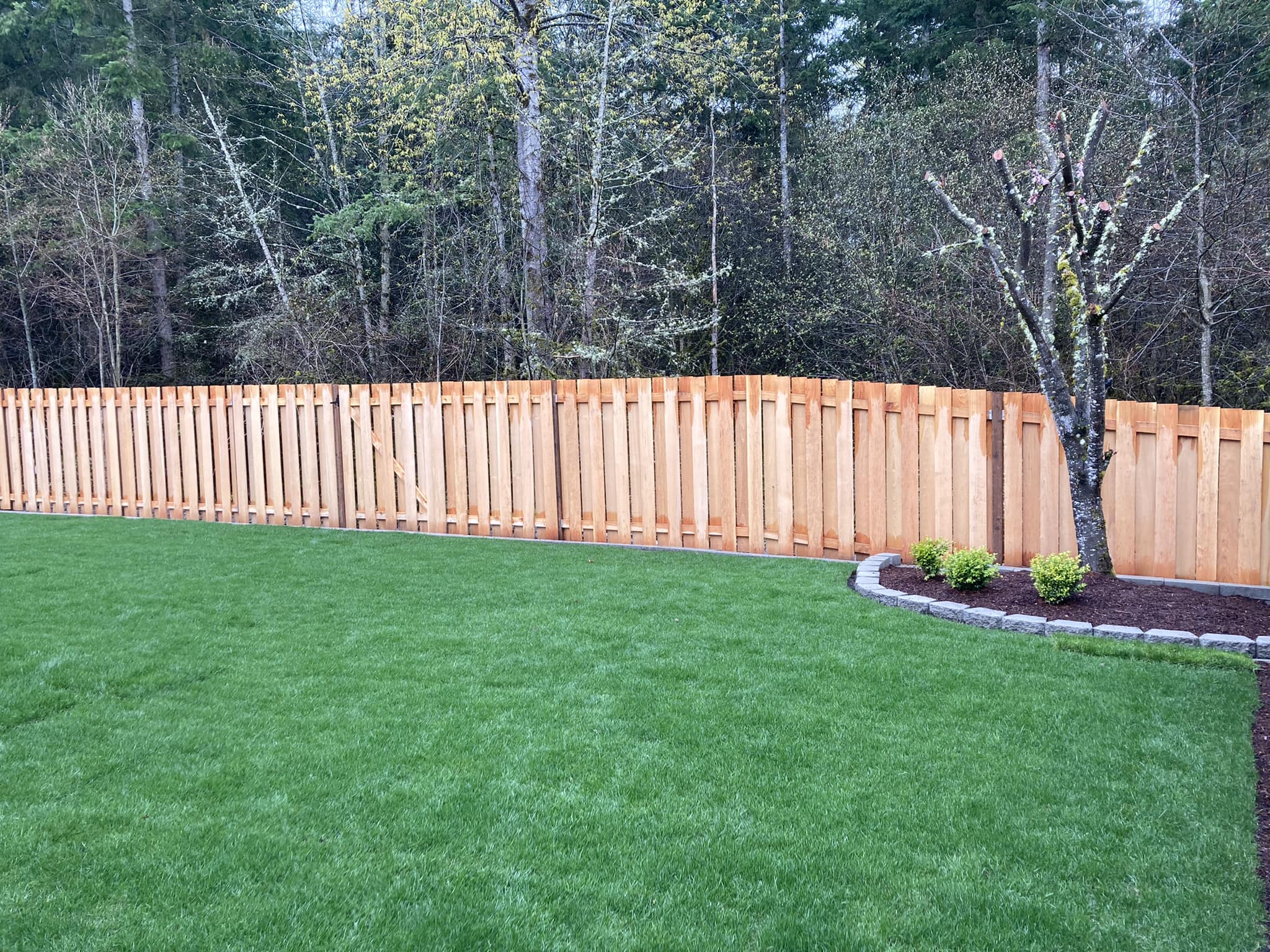 knocking-wood-fence